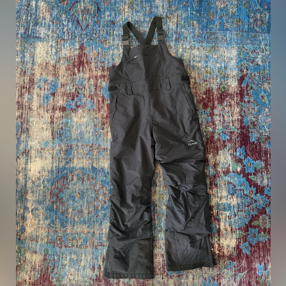 L.L. Bean Waterproof Wildcat Insulated Ski Bibs Kids sz14